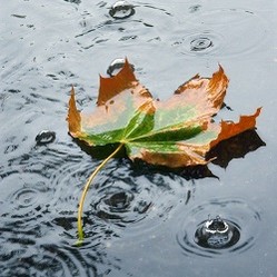 © OlgaLIS | Adobe Stock