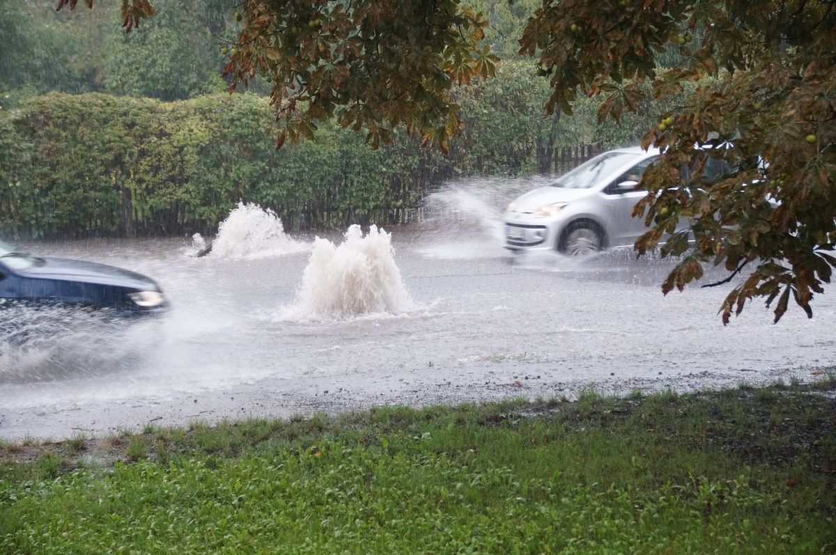 Bundesweite Marktbefragung Umgang mit Regenwasser