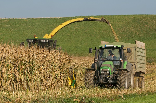 Landwirtschaft